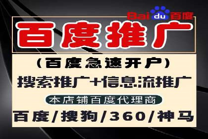 百度SEO推广策略解析：某知名企业的成功经验